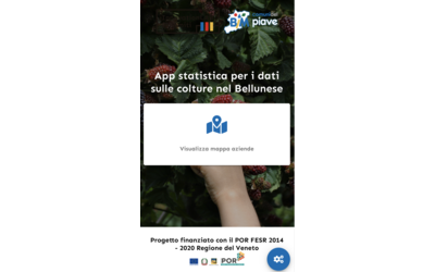 Immagine: Screenshot 2022-05-19 at 15.36.42
